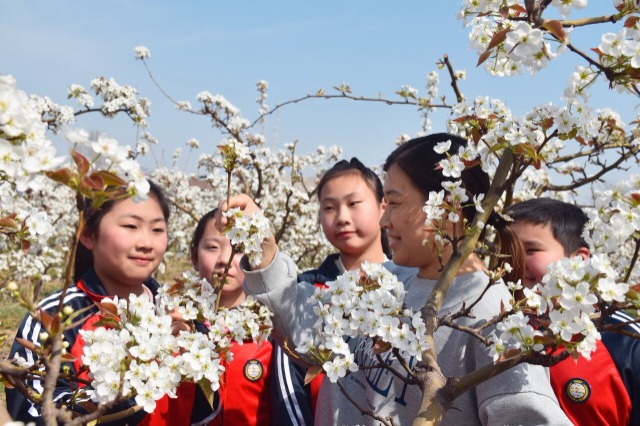 山东淄博：天地皆课堂
