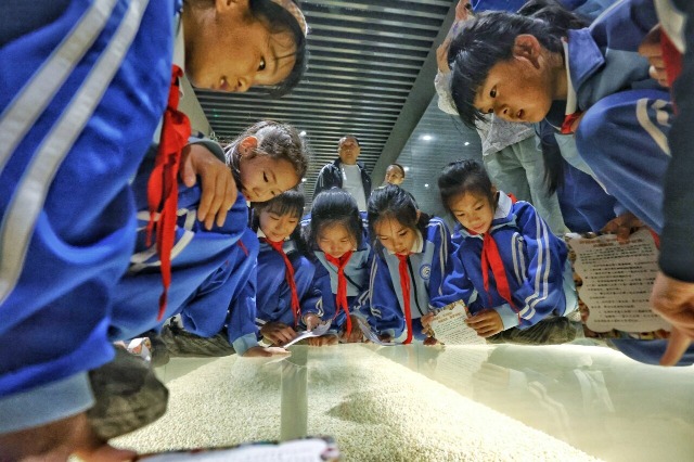 山东日照：趣味研学探访海洋奥秘