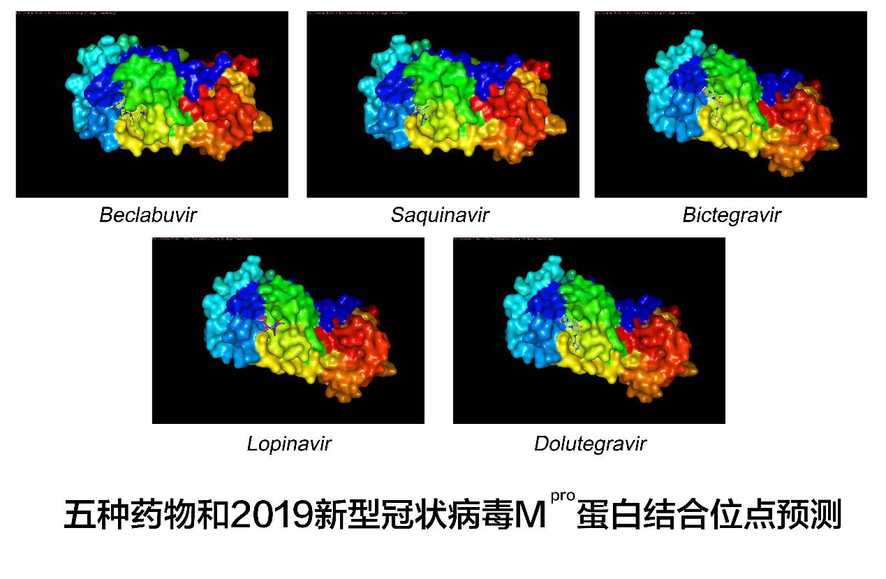 微信图片_20200204151612.jpg