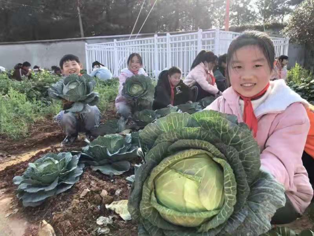 微信图片_20211229160916.jpg 微信图片_20211229160916.jpg