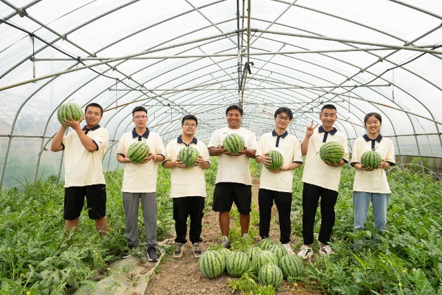 “新农创”们种植的西瓜成熟啦！