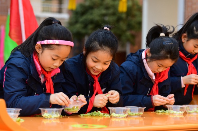 合肥市和平小学东校：快乐劳动迎开学 (1).JPG