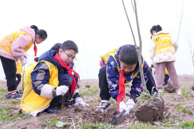 宁波慈溪学子在现代农业生态产业园植树 慈溪市学生成长指导中心供图.jpg