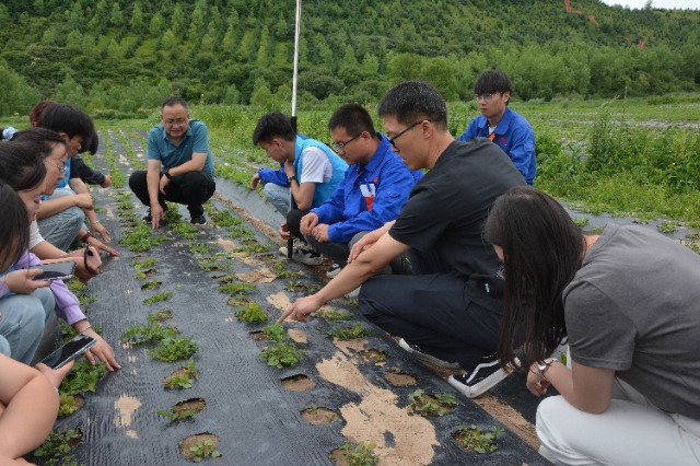 药学院下乡活动.jpg